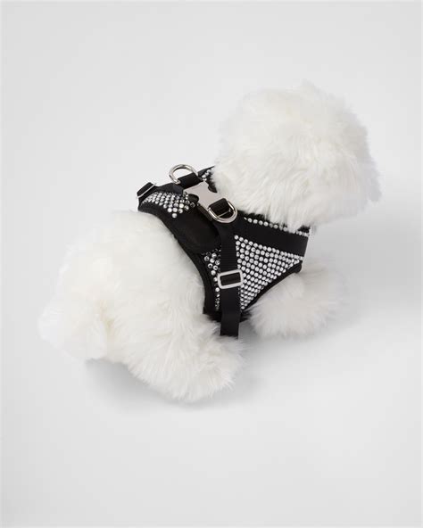 prada dog bow|prada dog accessories.